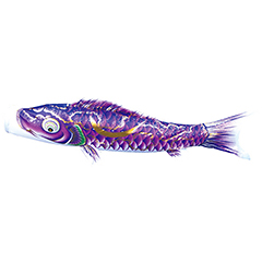 こいのぼり: 豪　単品鯉のぼり 紫鯉