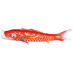 こいのぼり: 豪　単品鯉のぼり 赤鯉