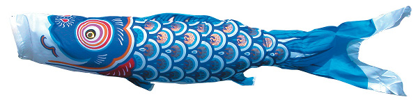 ゴールド鯉　単品鯉のぼり 青鯉