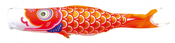 ゴールド鯉　単品鯉のぼり 橙鯉