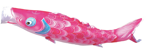 風舞鯉　単品鯉のぼり　ピンク鯉