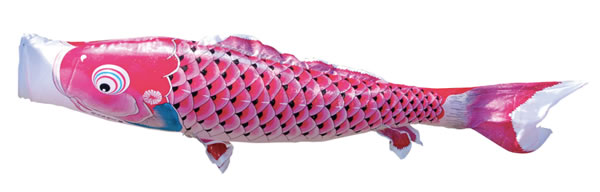 吉兆　単品鯉のぼり　ピンク鯉