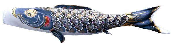 真・太陽　単品鯉のぼり 黒鯉