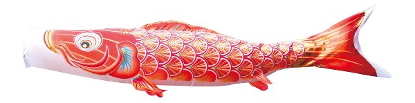 真・太陽　単品鯉のぼり 赤鯉