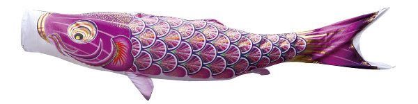真・太陽　単品鯉のぼり 紫鯉