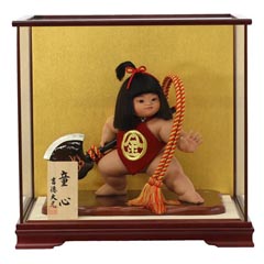 五月人形: 金太郎 ケース入り 「童心」 ガラスケース 【852T30522】