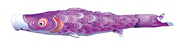 風舞い　単品鯉のぼり 紫鯉