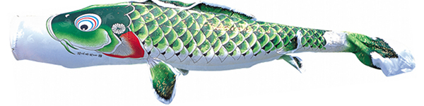 吉兆　単品鯉のぼり　緑鯉