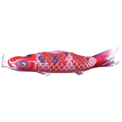 こいのぼり: ちりめん京錦　単品鯉のぼり　ピンク鯉