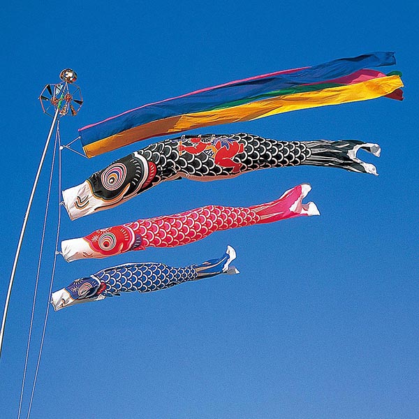 タフタ金太郎鯉 4m6点 マイホーム庭園用セット（杭打ち込みタイプ）