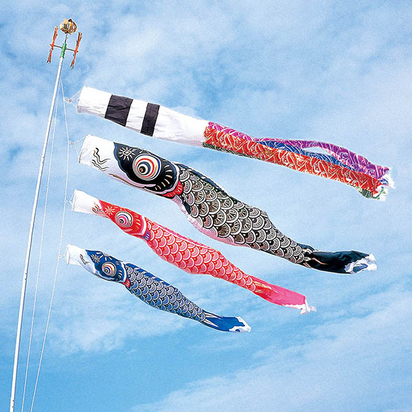 スパークル鯉 4m6点 マイホーム庭園用セット（杭打ち込みタイプ）