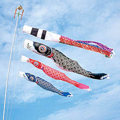 こいのぼり: スパークル鯉 4m6点 マイホーム庭園用セット（杭打ち込みタイプ）