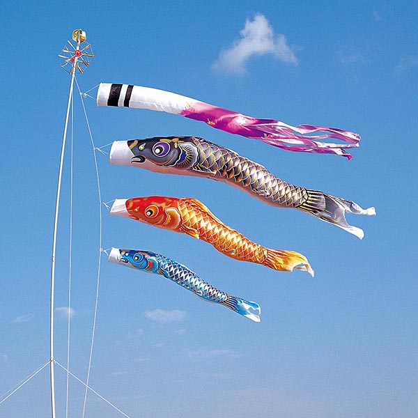 空鯉 4m6点 マイホーム庭園用セット(杭打ち込みタイプ)