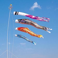 こいのぼり: 空鯉 4m6点 マイホーム庭園用セット（杭打ち込みタイプ）