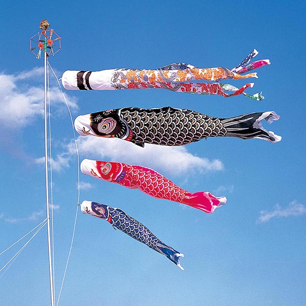 さんさん鯉 3m6点 マイホーム庭園用セット（杭打ち込みタイプ）