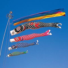 タフタ金太郎鯉 3Mセット