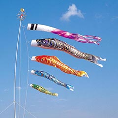 空鯉 ３Mセット