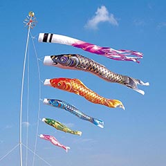 空鯉 5Mセット