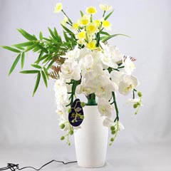 盆提灯: ルミナス 胡蝶蘭 雅 光触媒 陶器製花瓶 電気コード式（LED仕様） 