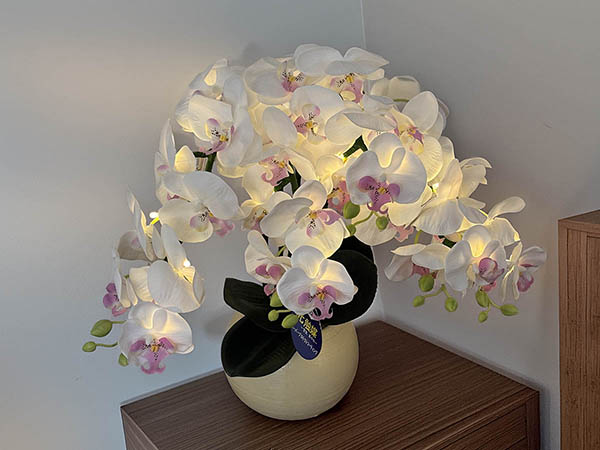 盆提灯 岐阜光雲(安藤) 胡蝶蘭 ルーミー・ルミナス LED 陶器製花瓶 光触媒 詳細画像 岐阜光雲(安藤) 盆提灯 胡蝶蘭 ルーミー・ルミナス LED 陶器製花瓶 光触媒 詳細画像