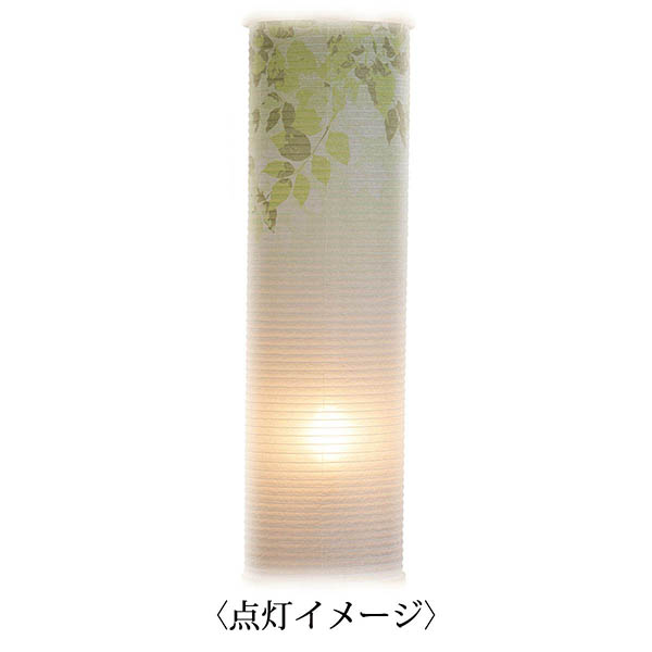 盆提灯 樹峰 ホワイトバーチ 伸縮提灯 和紙 一重張り うぐいす ワンタッチ伸縮 詳細画像 樹峰 盆提灯 ホワイトバーチ 伸縮提灯 和紙 一重張り うぐいす ワンタッチ伸縮 詳細画像