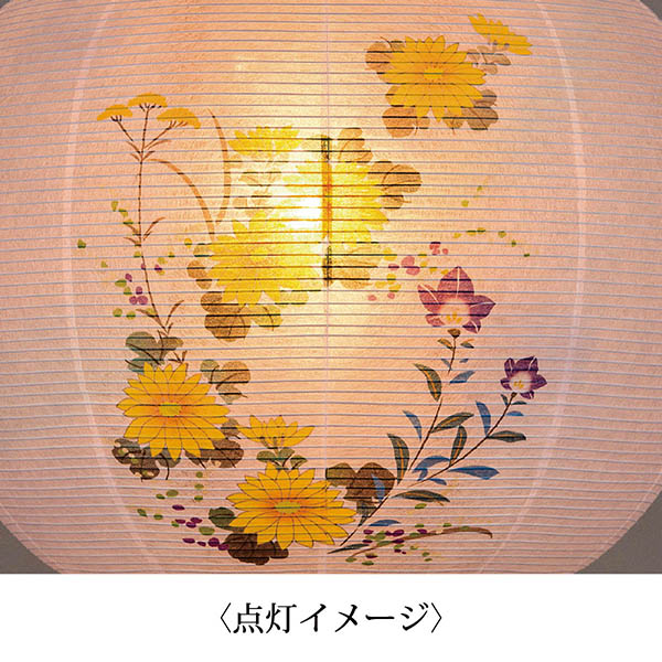 樹峰　 盆提灯　ほおずき提灯 ライトブラウン ビニロン和紙一重張り 菊　詳細画像
